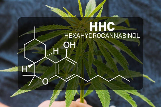 Was ist HHC (Hexahydrocannabinol)?