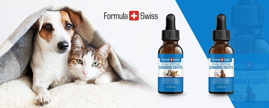 Neue CBD-Produktlinie für Haustiere mit Hanföl