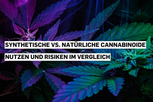 Vergleichskonzept: Synthetische vs. natürliche Cannabinoide