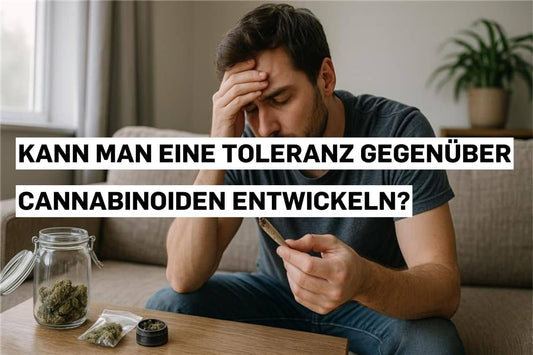 Kann man eine Toleranz gegenüber Cannabinoiden entwickeln?
