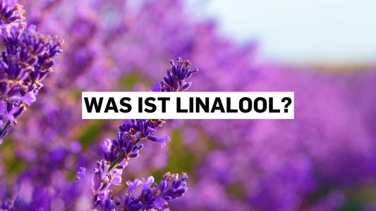 Was ist Linalool? Das aromatische Terpen in Cannabis