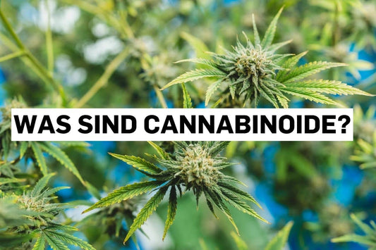 Was sind Cannabinoide?
