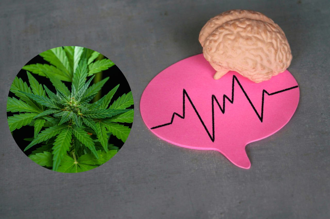 Cannabis zur neurologischen Behandlung