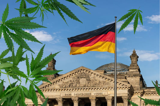 Cannabisblatt vor dem Reichstag