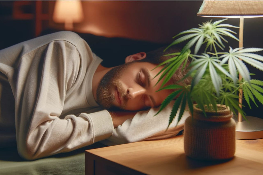 Schlafender Mann mit Cannabispflanze neben sich