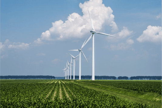 Die Kraft des Windes mit Hanf nutzen