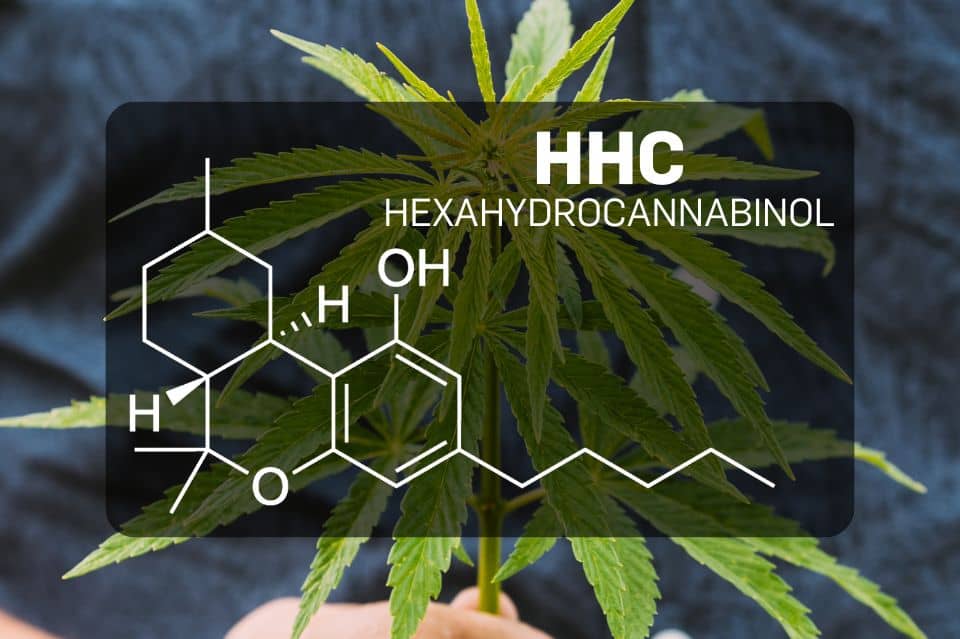 Was ist HHC (Hexahydrocannabinol)?