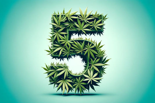 Cannabisblätter bilden die Zahl fünf