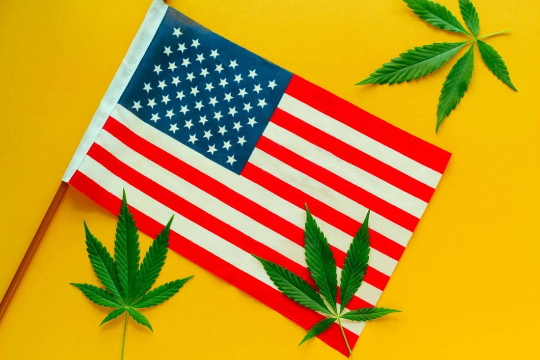 Amerikanische Flagge mit Cannabisblättern