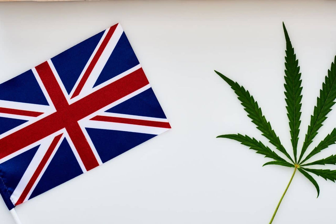 Cannabisblatt und UK-Flagge