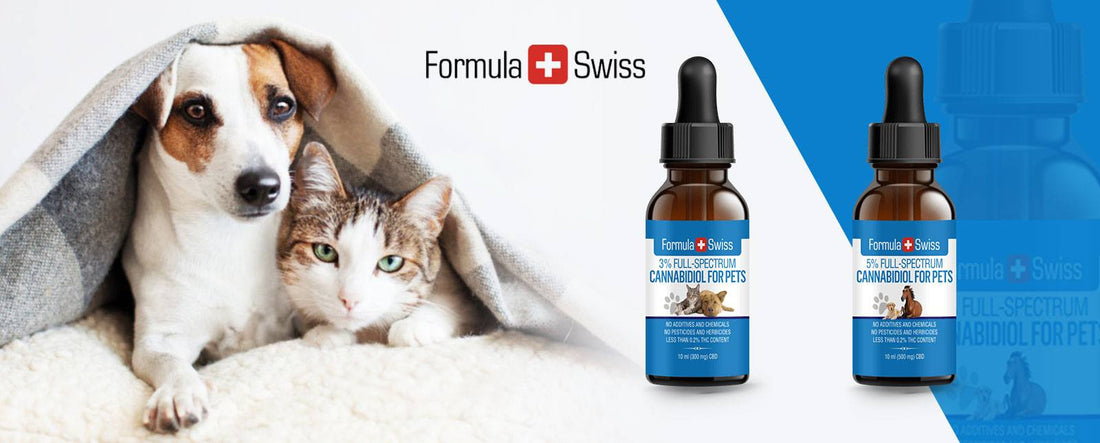 Neue CBD-Produktlinie für Haustiere mit Hanföl