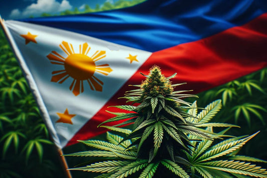 Cannabispflanze und philippinische Flagge
