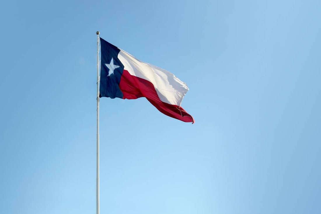 Die Flagge von Texas weht im Wind