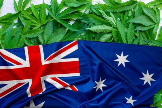 Umfassender Leitfaden Cannabis-Gesetze & Markt in Australien