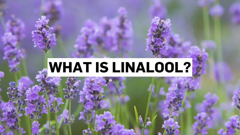 Was ist Linalool?