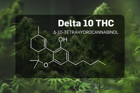Delta-10 THC Molekül vor Cannabis-Hintergrund