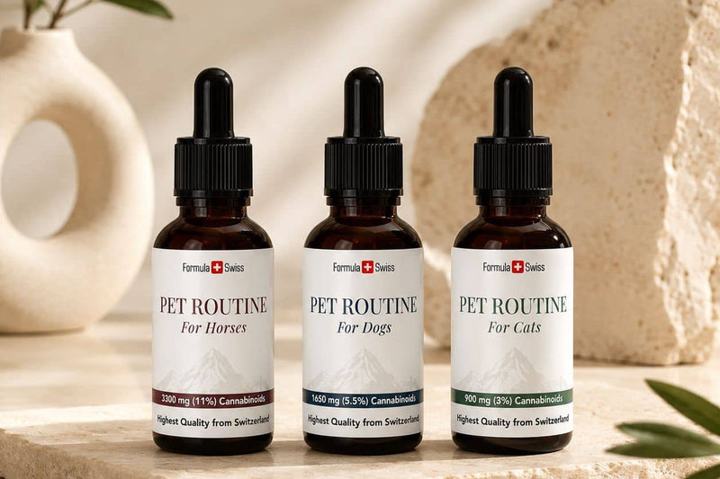 Pet Routine CBD-Öle von Formula Swiss für Pferde, Hunde und Katzen auf einer Steinfläche