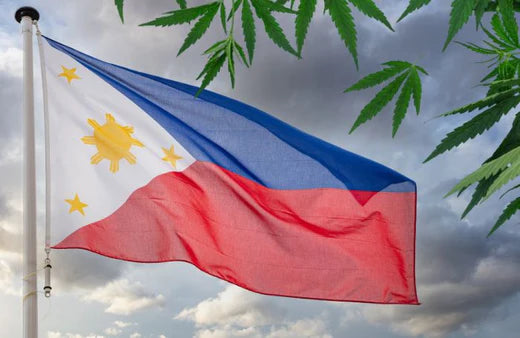 Eine wehende philippinische Flagge und Cannabisblätter