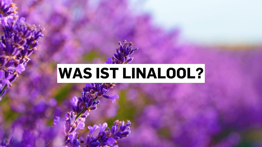 Was ist Linalool? Das aromatische Terpen in Cannabis