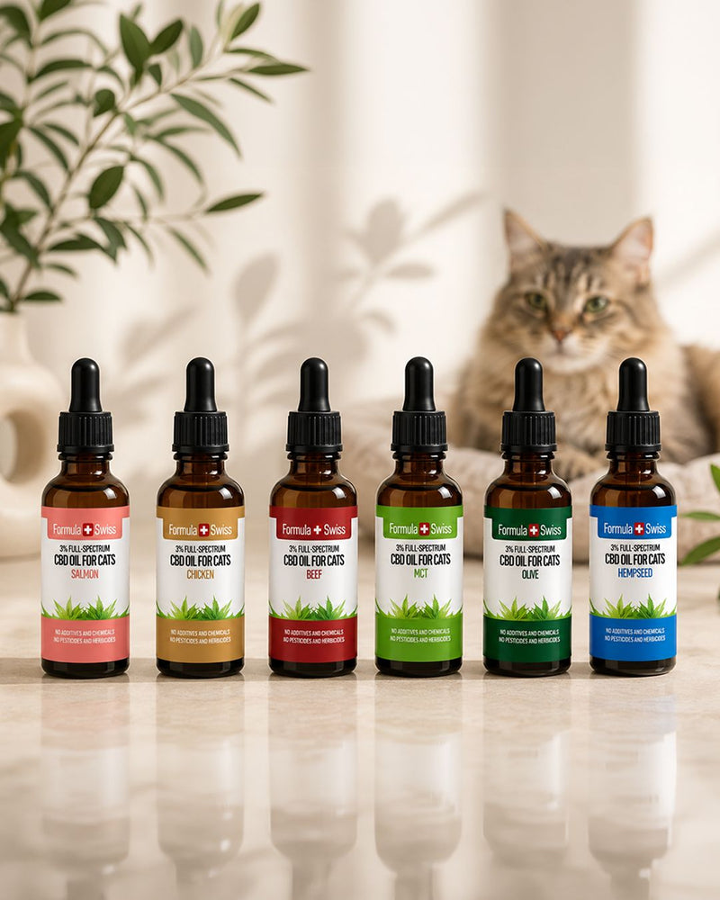 CBD Öl für Katzen