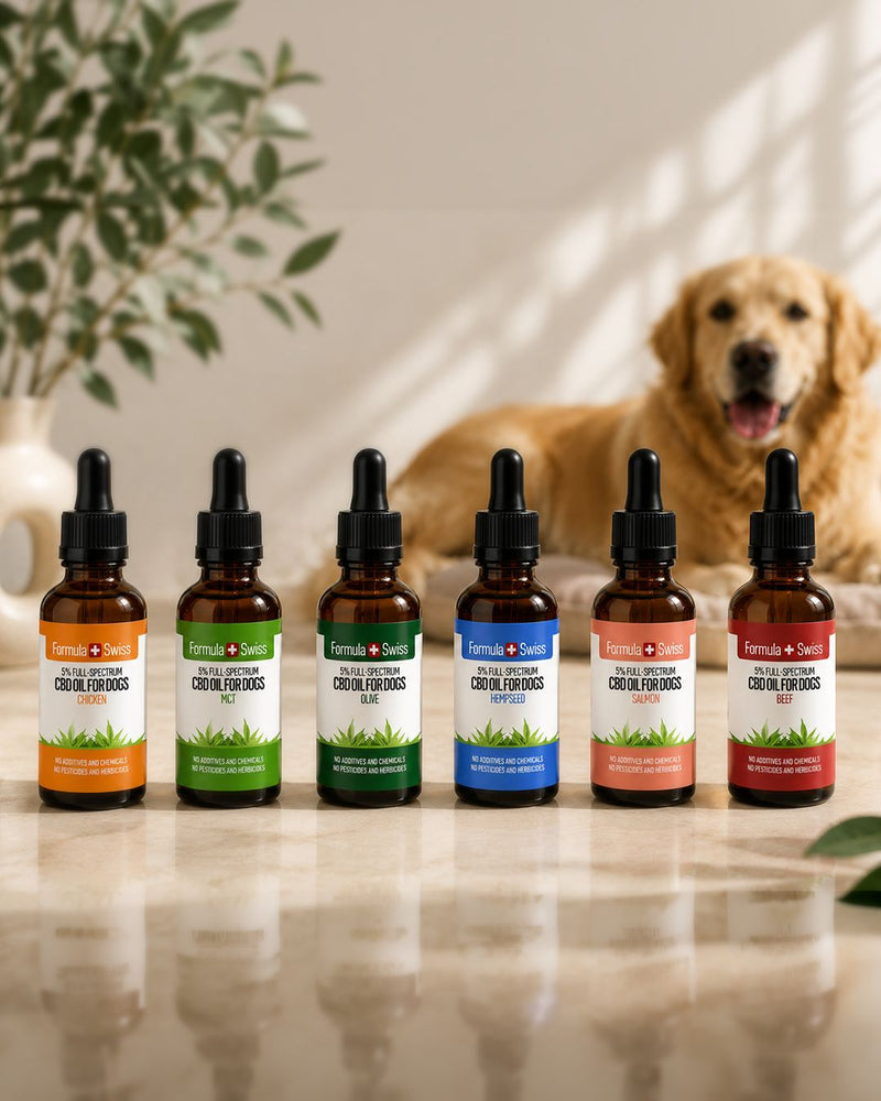CBD Öl für Hunde