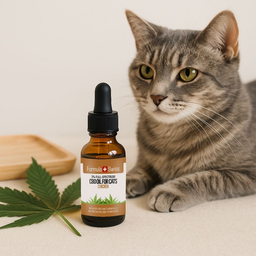 CBD Ol fur Katzen Huhn