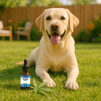 CBD Öl für Hunde Hanfseed