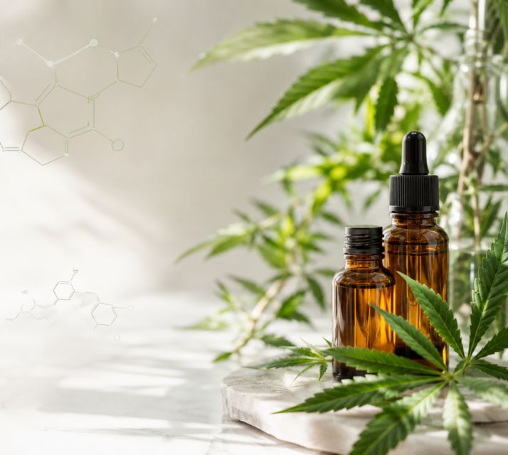 Cannabinoide Bildung und Hanfpflanzenverbindungen