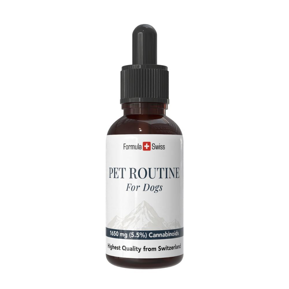 Flasche Pet Routine für Hunde mit weißem Etikett auf weißem Hintergrund