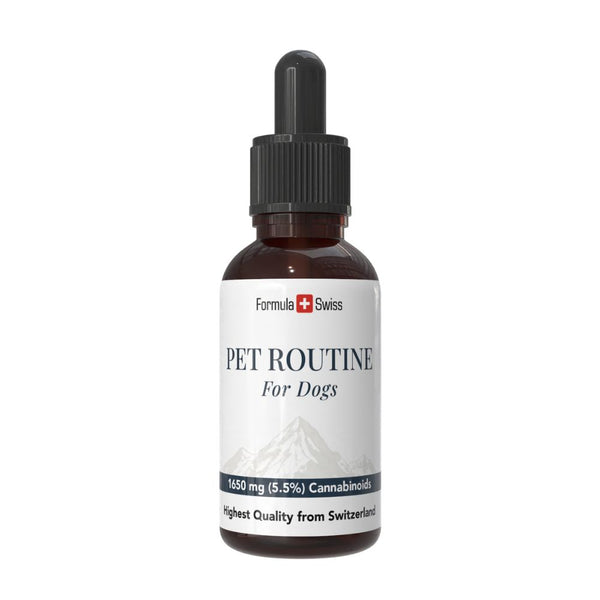 Flasche Pet Routine für Hunde mit weißem Etikett auf weißem Hintergrund