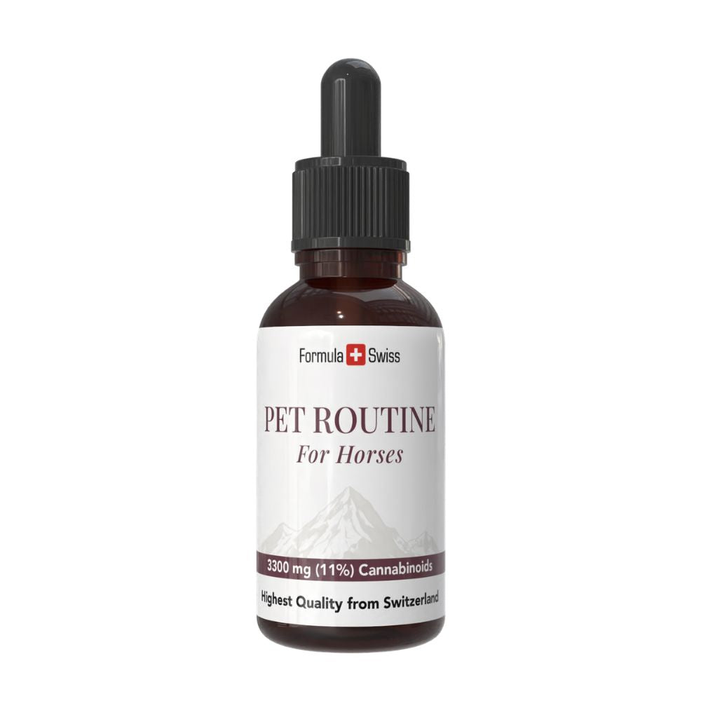 Formula Swiss Pet Routine für Pferde – CBD-Öl mit 10 % CBD, Pipettenflasche
